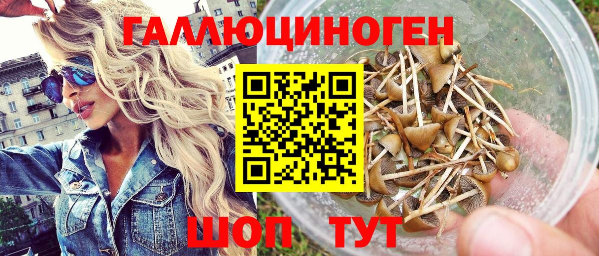 Галлюциногенные грибы Cubensis Калининград