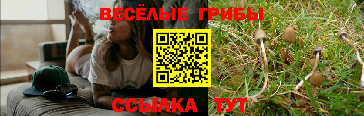 Псилоцибиновые грибы Cubensis  Вход с VPN  Калининград 